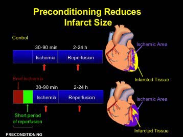 Diagram of the preconditioning tests.