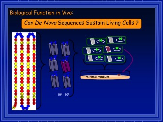 Biological Function in Vivo